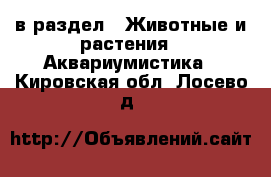  в раздел : Животные и растения » Аквариумистика . Кировская обл.,Лосево д.
